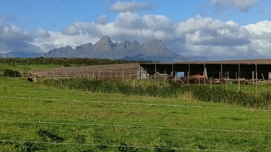 5 Bedroom Property for Sale in Stellenbosch Farms Western Cape